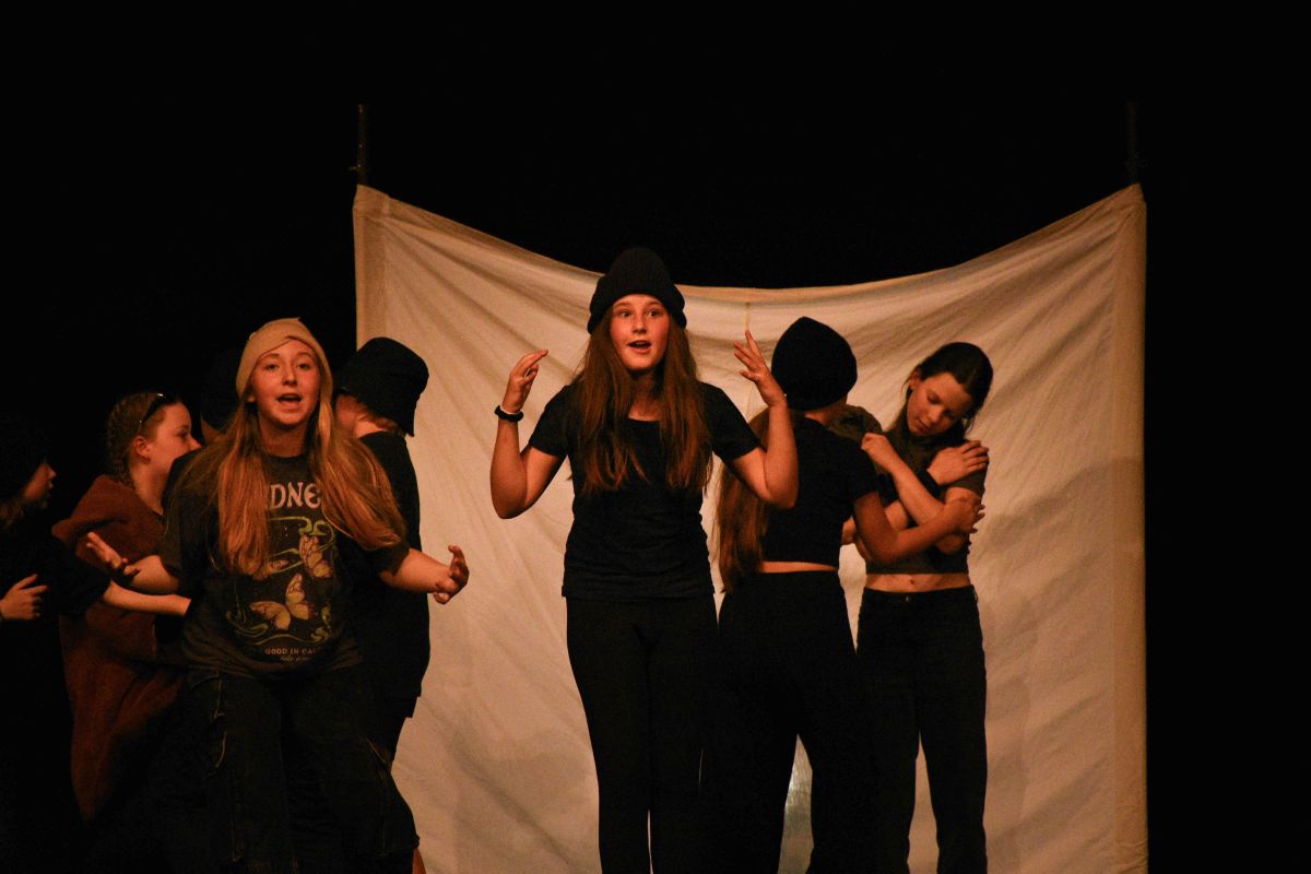 Literárně dramatický obor